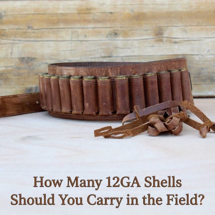 How Many 12GA Shells Should You Carry in the Field? - Raphaël Rossetti